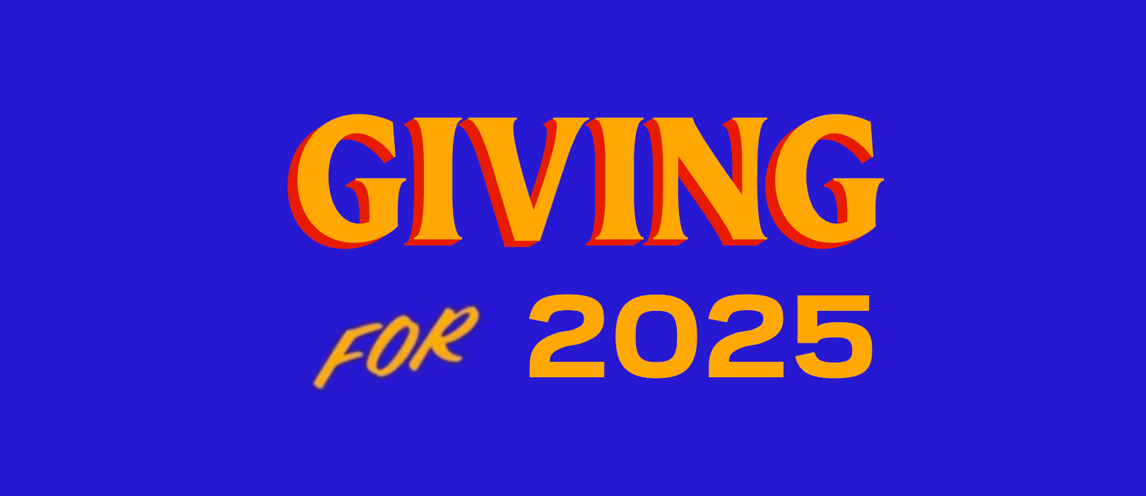 A year of charitable donations